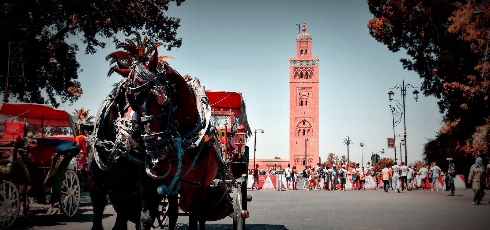 Contact Marrakech Way