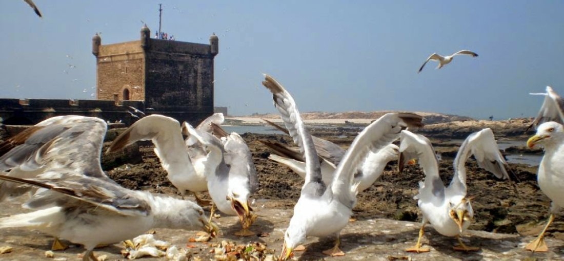 Essaouira